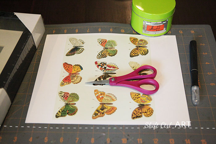 Vegan butterfly framed art paper craft 1
