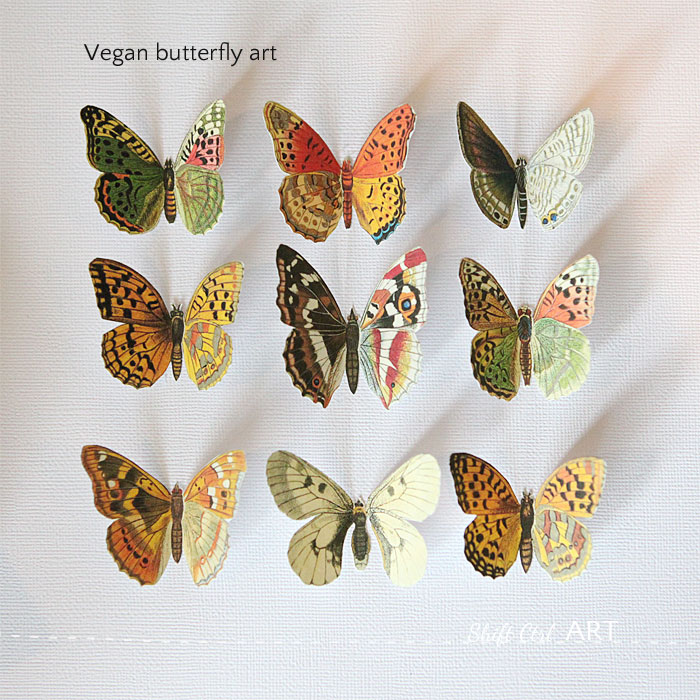 Vegan butterfly framed art paper craft 9