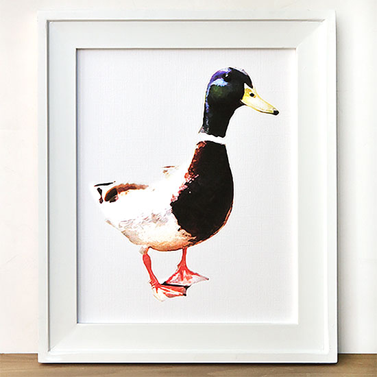 Shift Ctrl Art free printable watercolor duck framed printt
