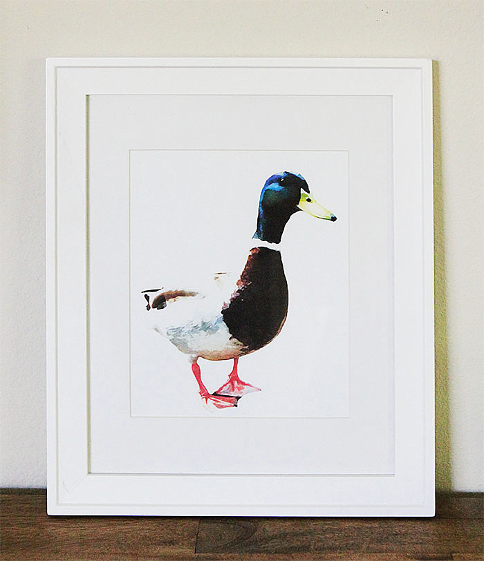 water color duck free printable 1