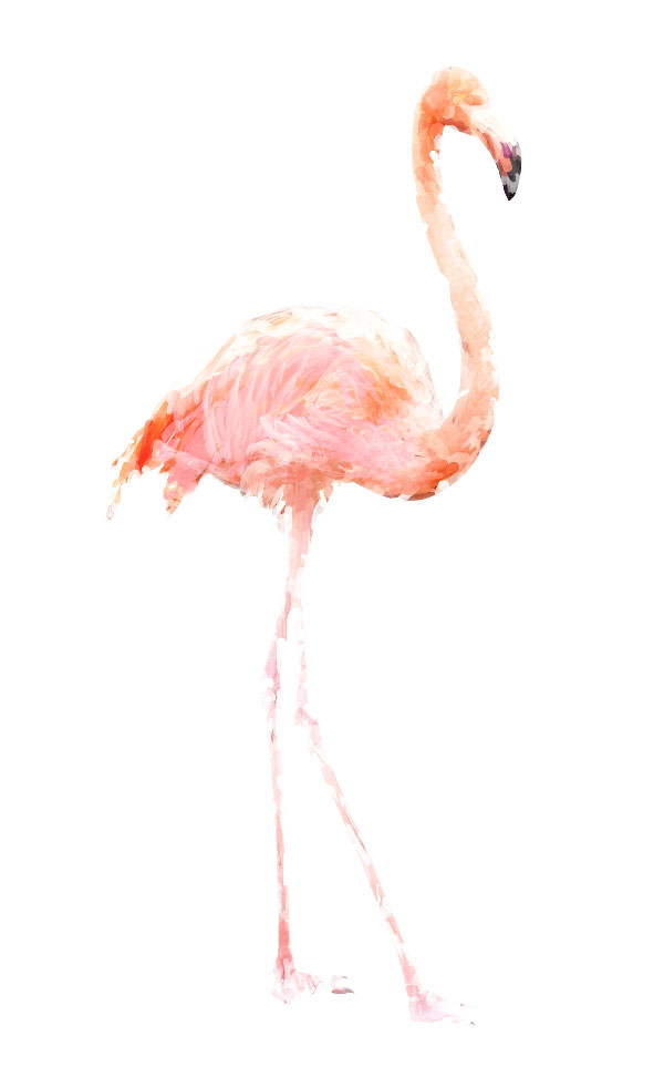 Flamingo art 7