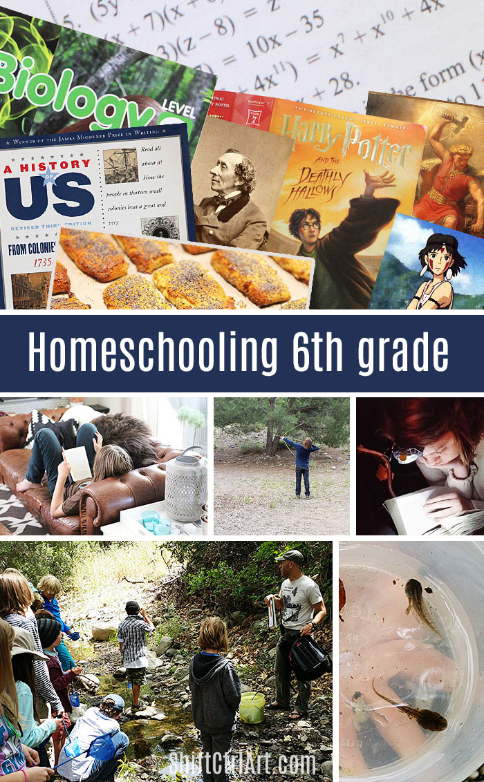 homeschooling 6th grade - recap of what we did this year