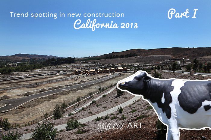 Trend spotting in new construction - California 2013