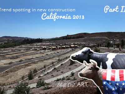 More trend spotting in new construction - California 2013