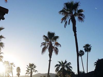 Our anniversary weekend in Palm Desert